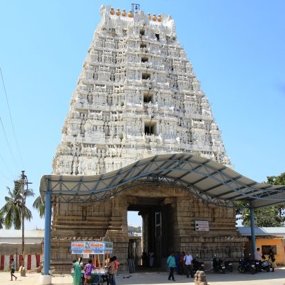 sri kalyana venkateswara swamy Temple, narayanavanam
