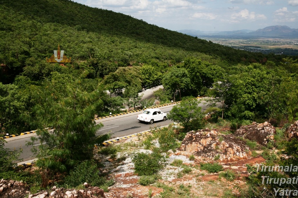 1st ghat road