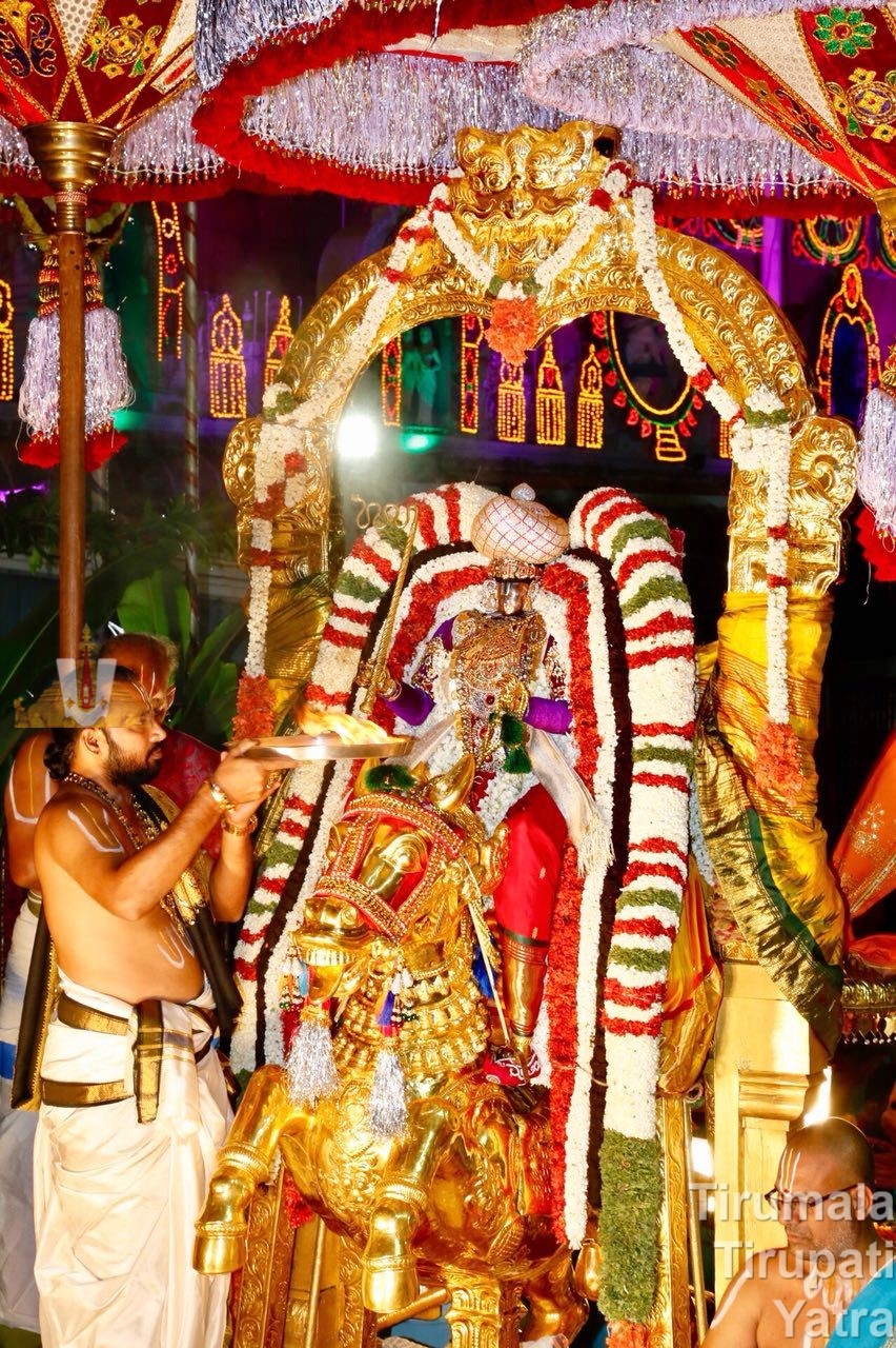 Aswa Vahanam at Tirumala