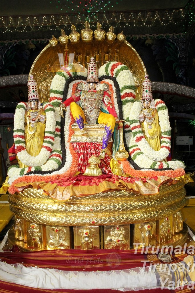 Pedda Sesha Vahanam at Tirumala