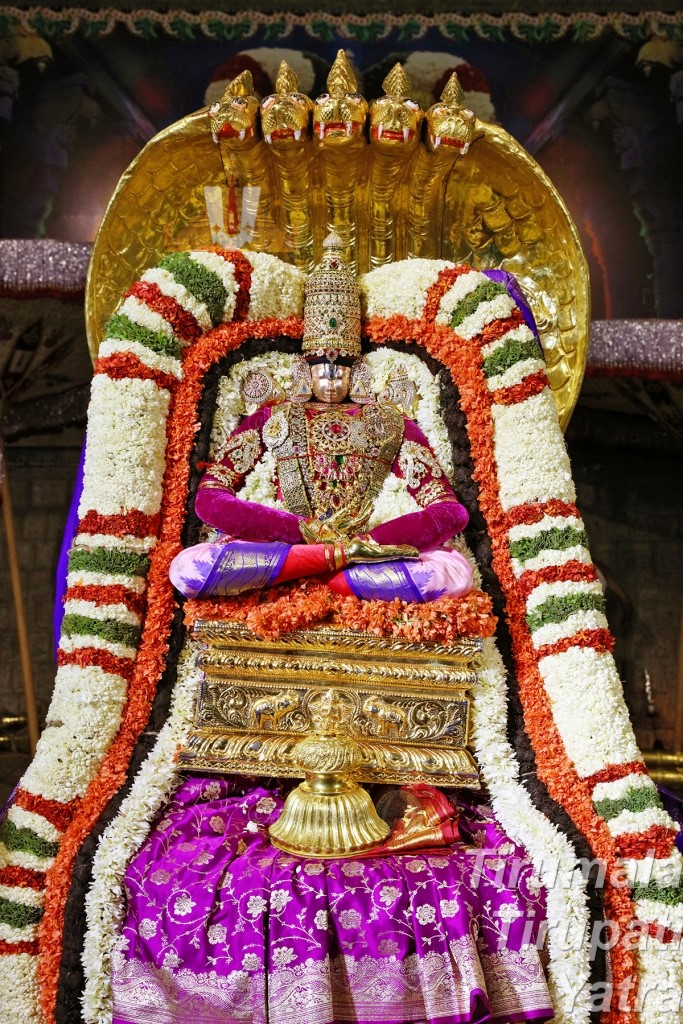 Chinna Sesha Vahanam Tirumala