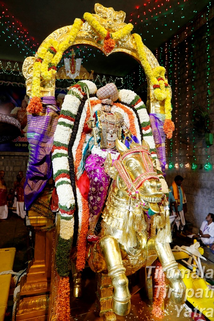 Aswa Vahanam at Tirumala