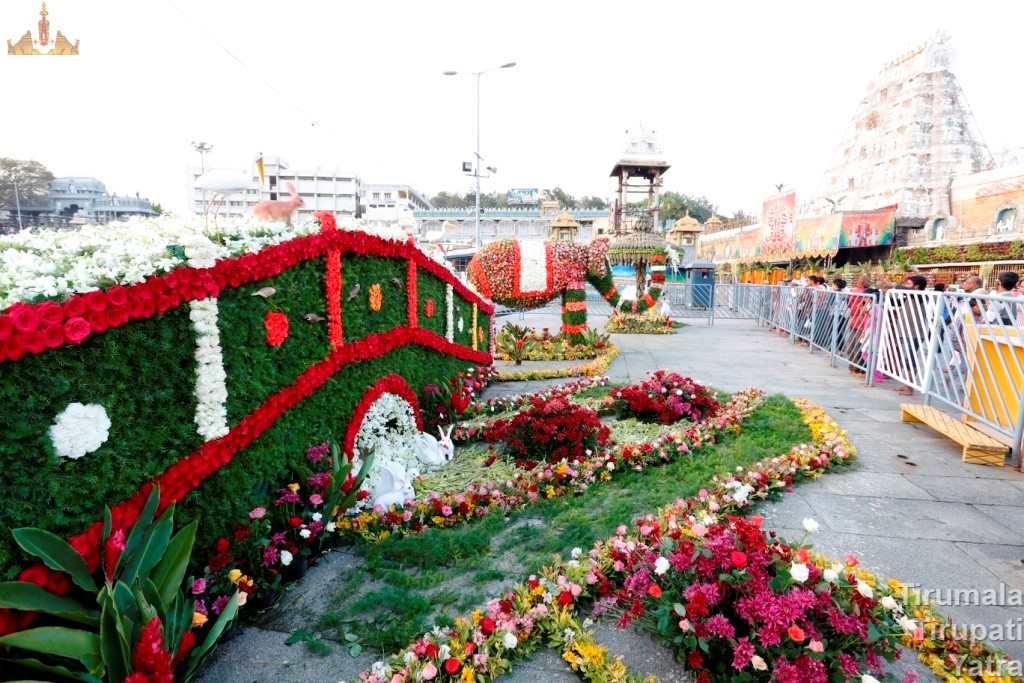 Tirumala Temple during festivals