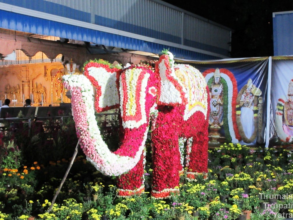 Flower Exhibition at Tirumala