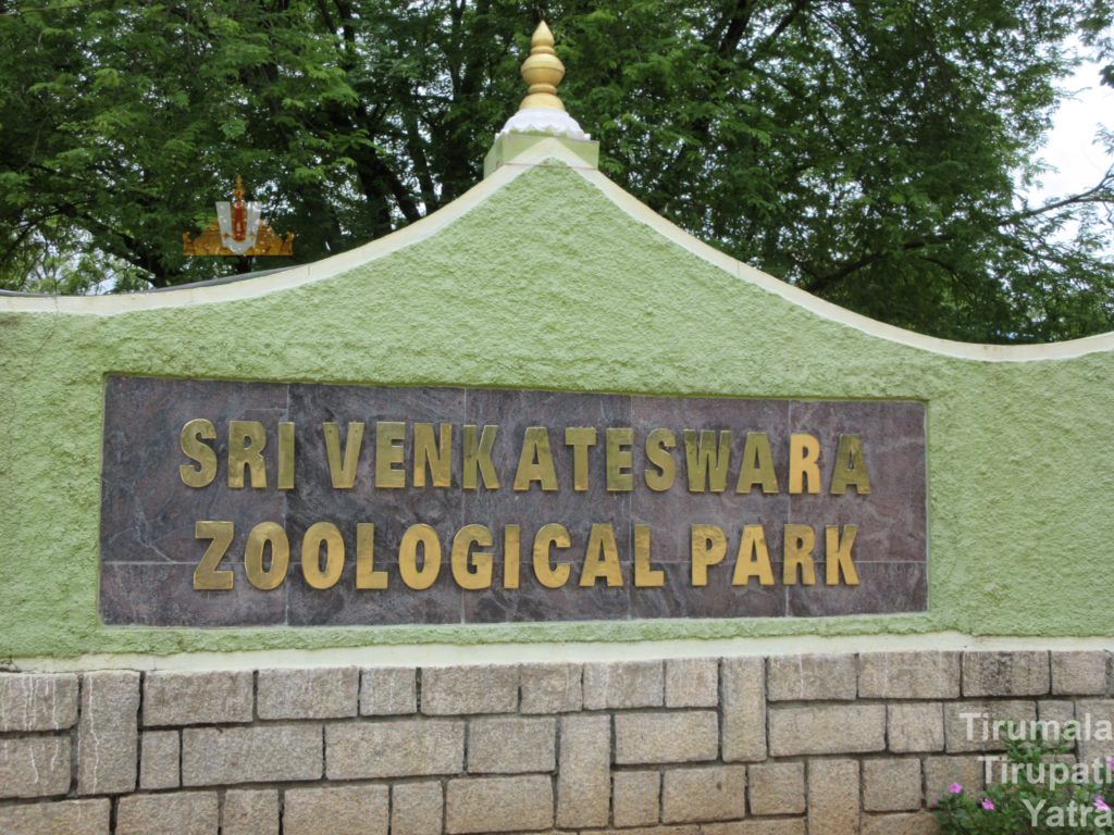 Sri Venkateswara Zoological Park - Tirumala Tirupati Yatra