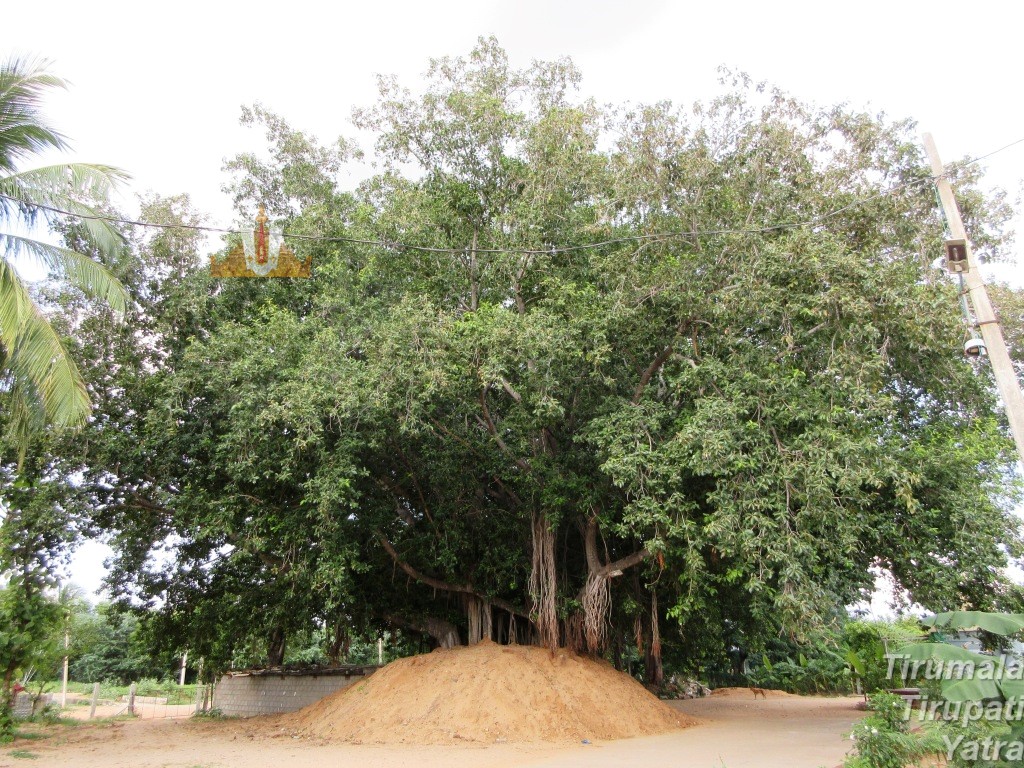 Sri Agastyeswara Swamy