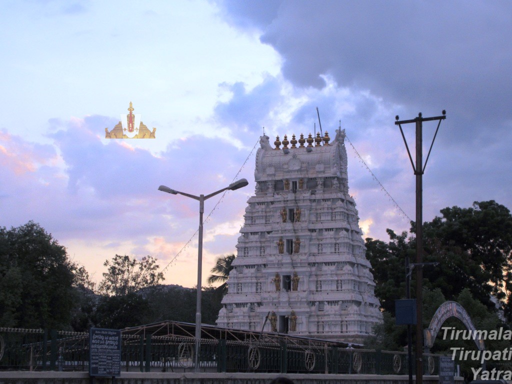 Saakshaatkaara Vaibhavotsavam 2025 2 Srinivasa Mangapuram