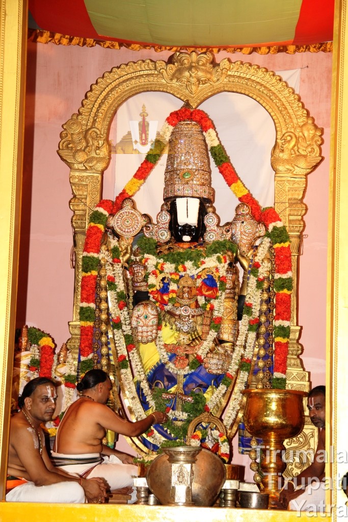 Venkateswara Swamy - TIrumala
