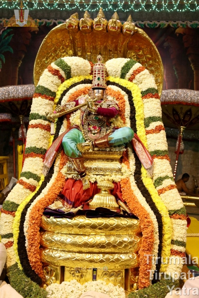 Chinna Sesha Vahanam