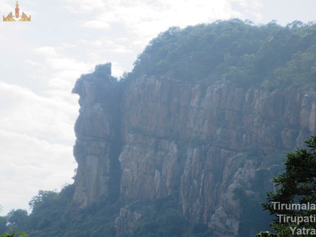 Natural Stone Garuda Formation