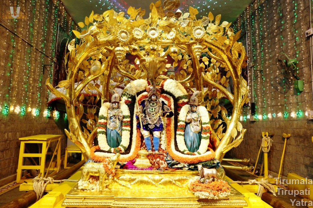 Kalapavriksha Vahanam