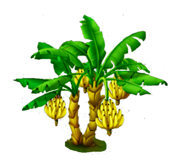 Banana Tree