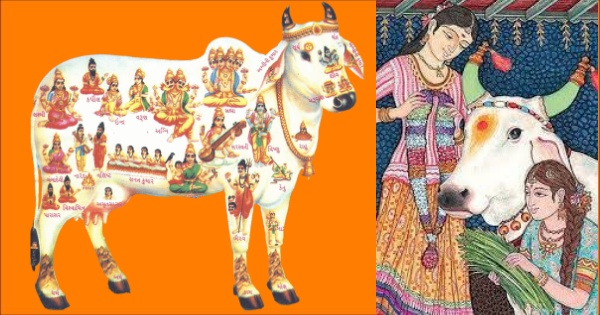Cow in the Vedas