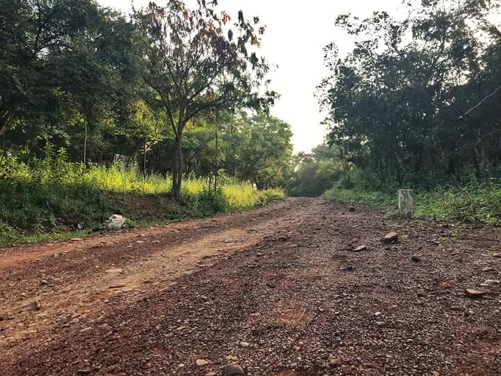 Tirumala Tirupati Yatra