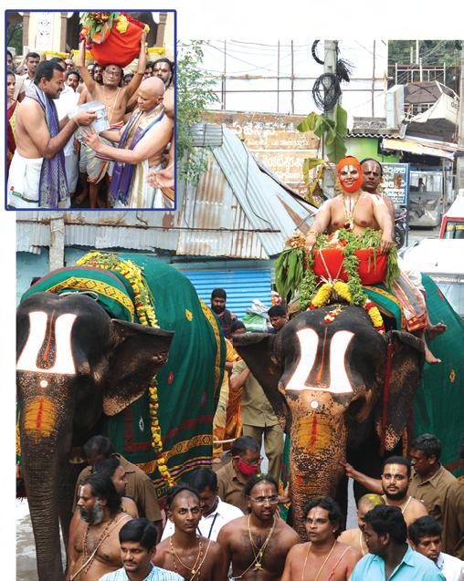 Tiruchanur 2023 Elephants