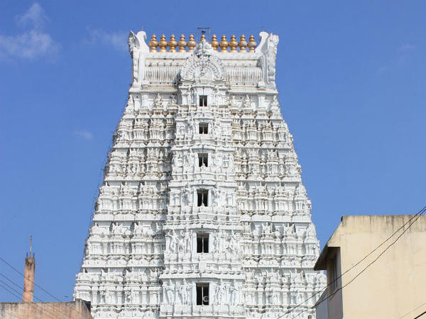 Govindaraja Swami Temple