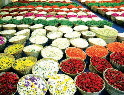 27 types of flowers for Pushpayagam