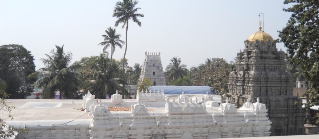 Sri Kurmanatha Swamy Temple