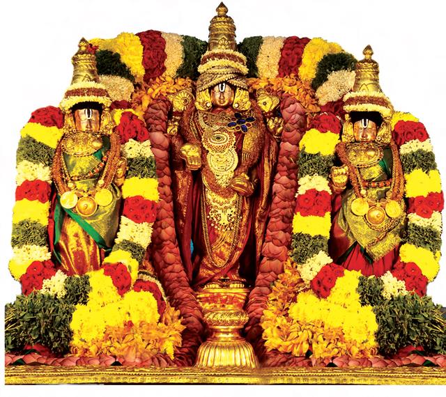 Sri Srinivasa Divyanugraha Homam