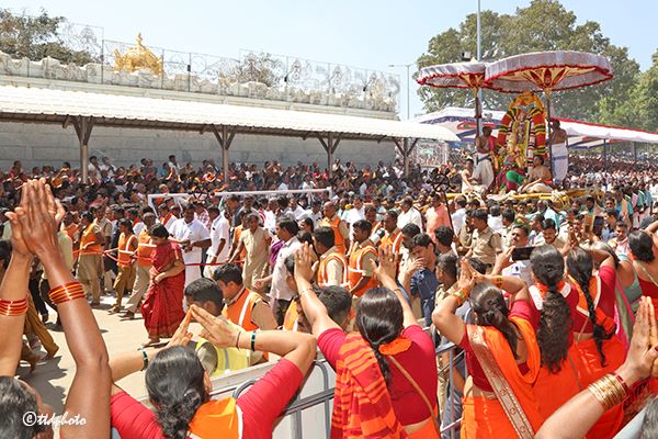 SriVari Seva during Garuda Vahanam