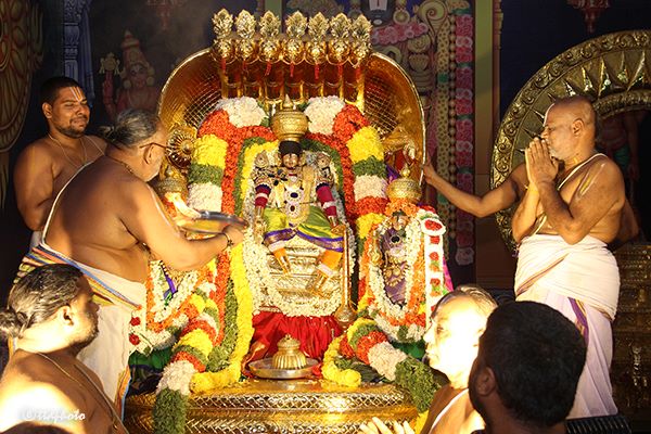 Sakshatkara Vaibhavotsavam - Srinivasa Mangapuram