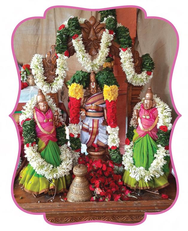 Sri Narapura Venkateswara Swamy, Jammalamadugu