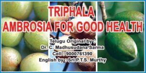 Triphala For Good Health