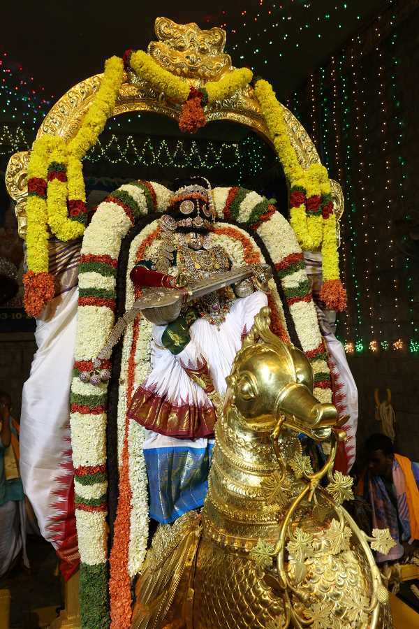 Hamsa Vahanam - Tirupati Balaji - Navaratri Brahmotsavams