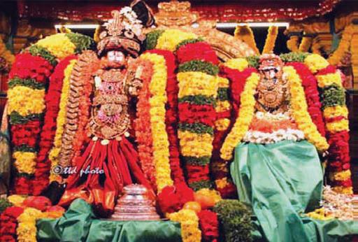 Nirattotsavam at Tirupati - Sri Govinda RajaSwamy Temple