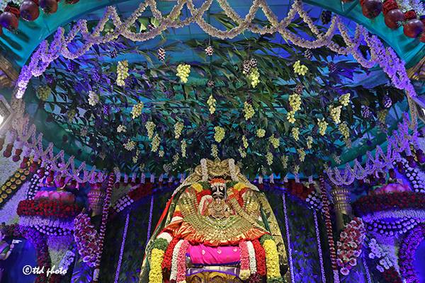 Varalakshmi Vratam - Sri Padmavathi Ammavari Temple