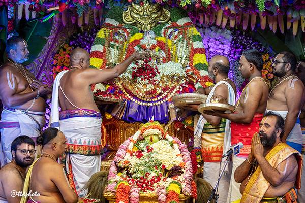 Varalakshmi Vratam - Tiruchanur Sri Padmavati Ammavari Temple