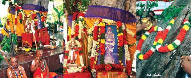 Purisai Garden Ceremony - Tiruvaadippooram Shaattumurai