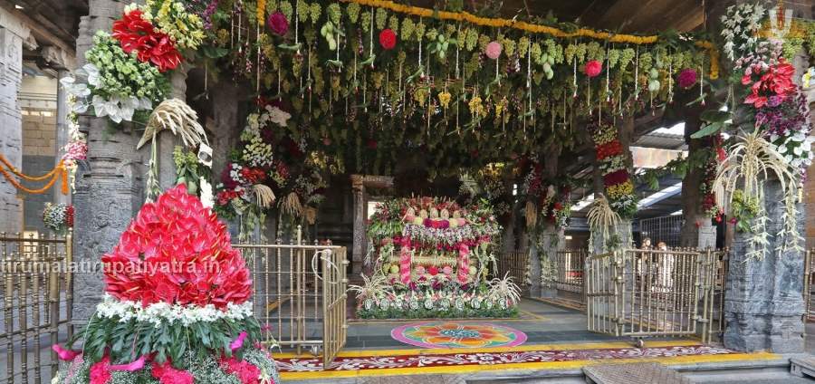 Sri Venkateswara Swamy Darshan