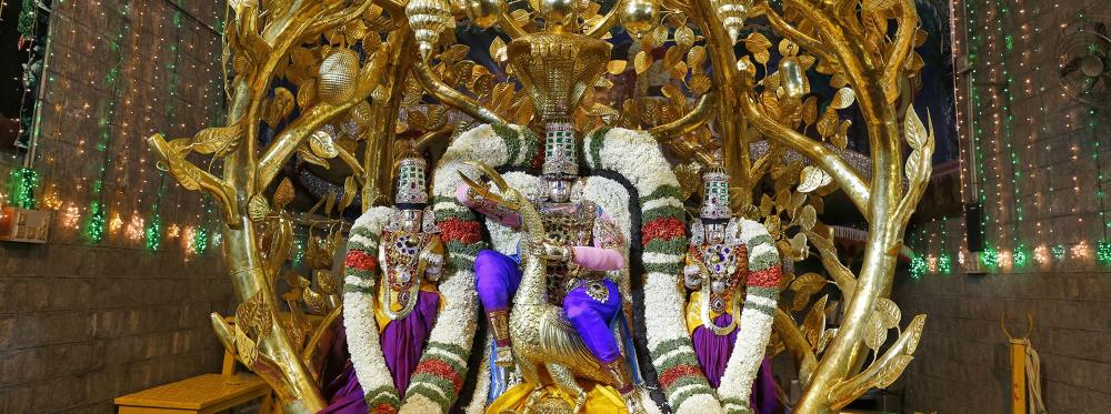 Brahmotsavams 2024 - The Festival Performed by Lord Brahma