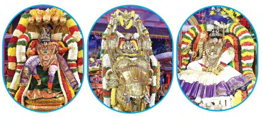 Tirchanur - Glory of Brahmotsavam