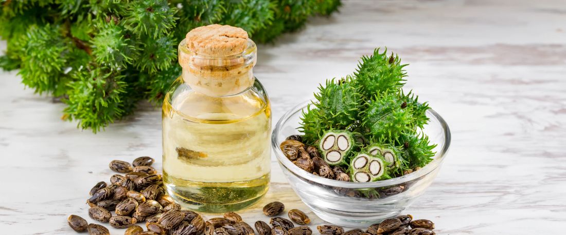 Health Benefits of Castor Oil A Complete Guide